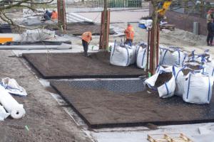 Ochrona drzew w przestrzeni miejskiej