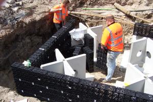 Ochrona drzew w przestrzeni miejskiej